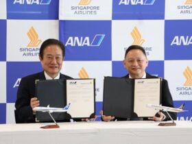 ana Singapore airlines