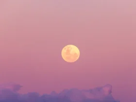 pink moon
